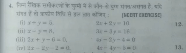 4 何g可所市并并wǜ新 竞听新w哪fa那 Ncert Exercise I X Y 5 2x 2y 10 12 Ii X Y 8 3x 3y 16 Iii 2x Y 6 0 4x 2y 4 0 Iv 2x 2y 2 0 4x 4y 5 0 13 Snapsolve