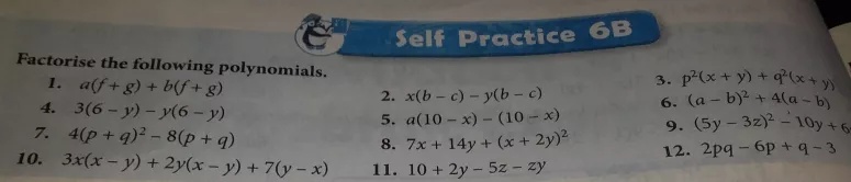 Self Practice 6bfactorise The Following Polynomials 3 P 2 X Y Q 2 X Y 1 A F G B F G 2 X B C Y B C 6 A B 2 4 A B 4 3 6 Y Y 6 Y 5 A 10 X 10 X 9 5y 3z 2 10y 67 4 P Q 2 8 P Q 8 7x 14y X 2y 2 12 2pq 6p Q 310 3x X Y