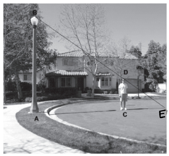 Solved: Peter, who is (1.6m) tall, is standing near a lamp post one day ...