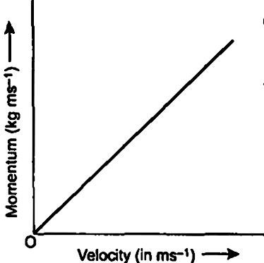 Answer for What is momentum? Write its SI unit. Interpret force in terms of momentum. Represent the following graphically : momentum versus velocity when mass is fixed.