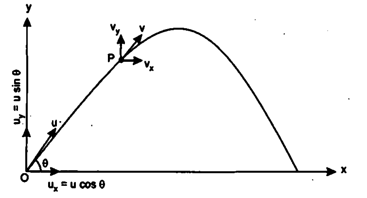 A Projectile Is Fired At An Angle Of Elevation Theta With Initial Velocity U Find Expression For Its Velocity At Any Instant Of Time T Let A Projectile Be Fired From Point