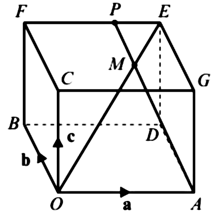 Solved: The diagram shows a cuboid whose vertices are (O), (A), (B), (C ...