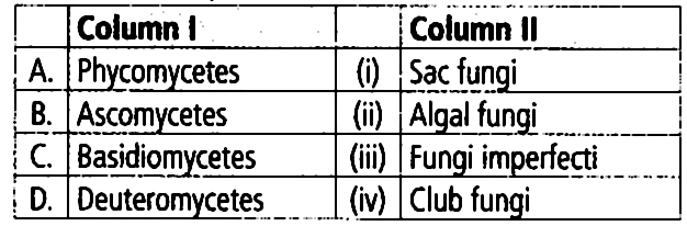 Match Column I With Column Ii And Select The Correct Option From The Given Codes A A Iv B Ii C Iii D I B A Iii B I C Ii D Iv C A Iv B Ii C I D Iii D A Iv B Iii C Ii D I