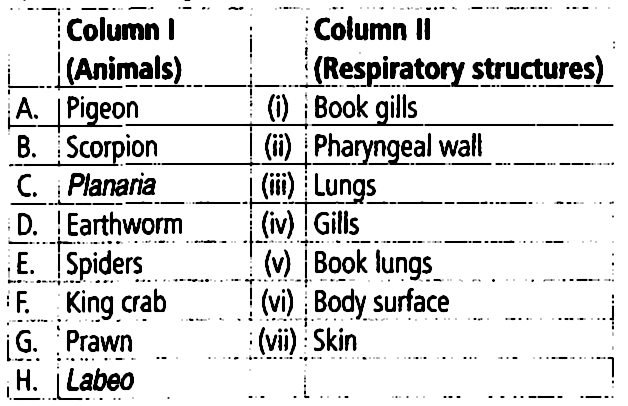 Match Column I With Column Ii And Select The Correct Option From The Given Codes A A Iii B V C Vi D Vii E V F I G Iv H