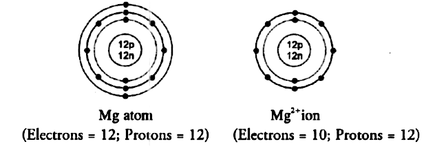 Magnesium Atom