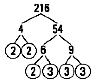 How Many Nondistinct Prime Factors Does 216 Have Gauthmath