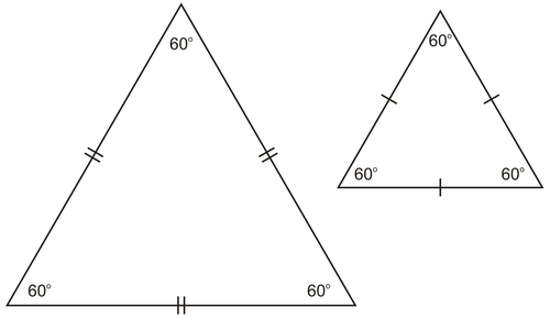 If Two Triangles Have All Three Equal Angles Do Y Gauthmath