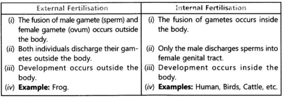 Short Answer Questions What Is Fertilization Distinguish Between External Fertilization And Internal Fertilization Snapsolve