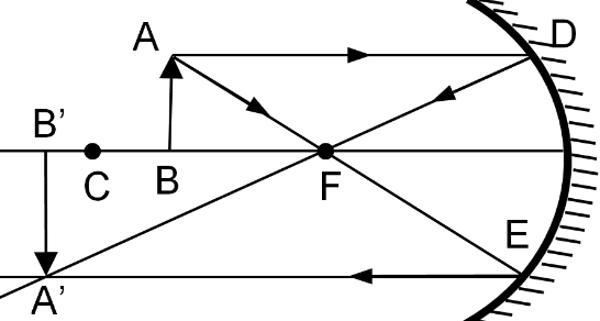 The Nature Of The Image Formed By Concave Mirror When The Object Is Placed Between The Focus F And Centre Of Curvature C Of The Mirror Observed By Us Is Snapsolve