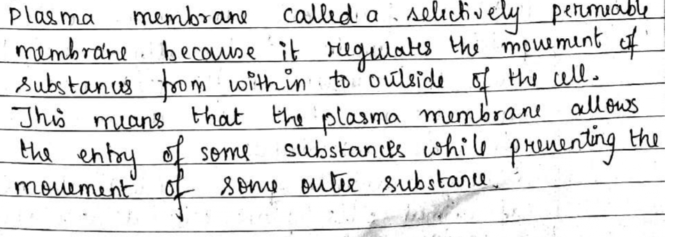 Very Short Type Question Why Is The Plasma Membrane Called A Selectively Permeable Membrane Snapsolve