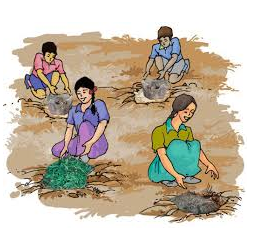 Question: Carefully observe the following pictures/figures and answer the questions:Look at these children putting garbage heaps in pits. Why are they doing so? （   ）A. To grow plantsB. To recycle wasteC. To make manureD. To remove useful things
