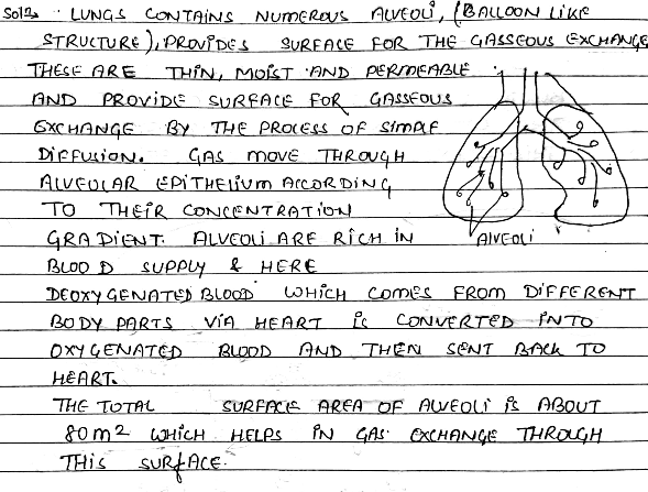 How Are The Alveoli Designed To Maximize The Exchange Of Gases Snapsolve