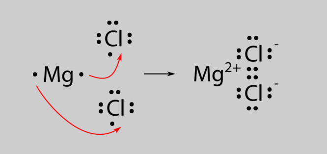 The atomic number of magnesium is 12 and of chlorine is 17. Show the formation of magnesium chloride by the transfer of electrons. | Snapsolve