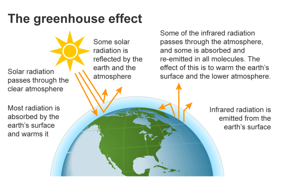 Short Answer Question Explain Greenhouse Effect With The Help Of Diagram Snapsolve