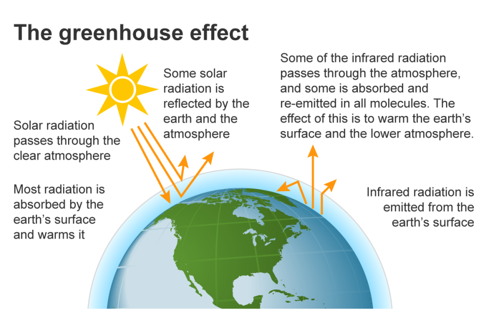 Short Answer Question Explain Greenhouse Effect With The Help Of Diagram Snapsolve Short Answer Question Explain Greenhouse Effect With The Help Of Diagram Snapsolve