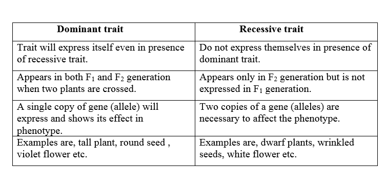 what is recessive and dominant traits