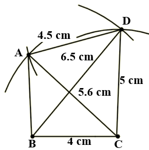 Construct a quadrilateral ABCD in which BC=4 cm,CA=5.6 cm,AD=4.5 cm,CD=5 cm  and BD=6.5 cm. | Snapsolve