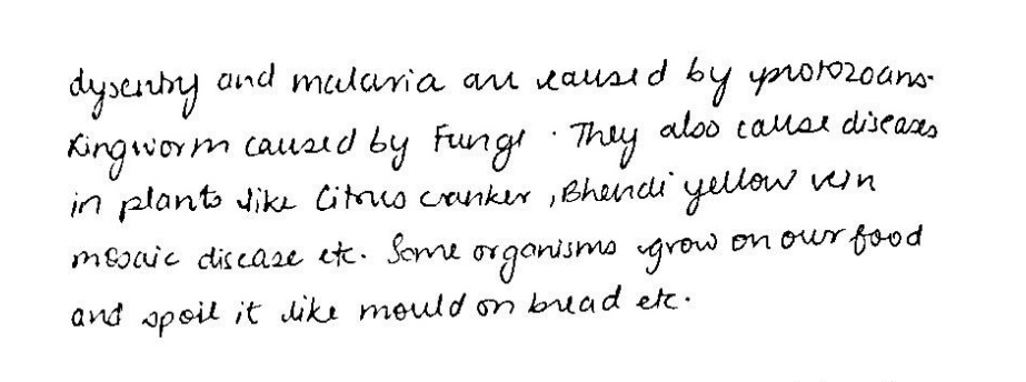 Write A Short Paragraph On The Harmful Effects Of Microorganisms Snapsolve