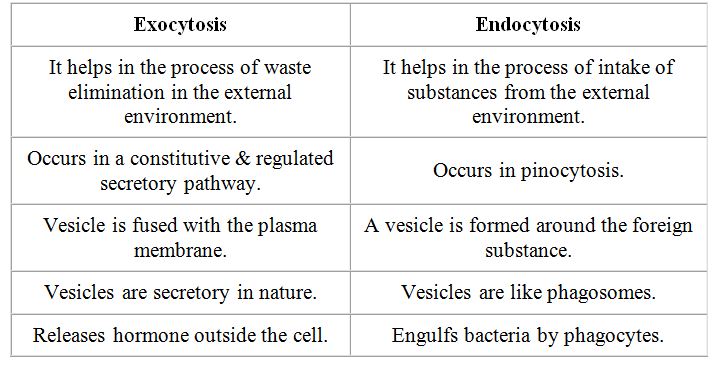 Short Answer Question Differentiate Between Exocytosis And Endocytosis Snapsolve