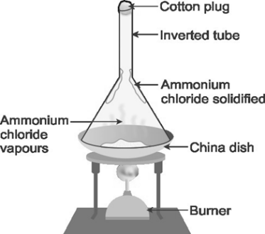Draw A Labelled Diagram Of The Experimental Setup To Demonstrate The Sublimation Of Ammonium Chloride Snapsolve Draw A Labelled Diagram Of The Experimental Setup To Demonstrate The Sublimation Of Ammonium Chloride Snapsolve