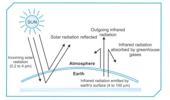 Long Answer Question What Is Greenhouse Effect Name The Different Greenhouse Gases Snapsolve