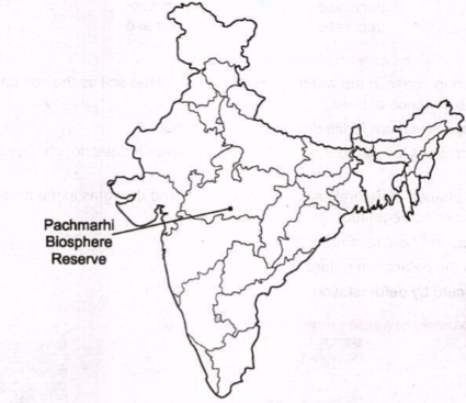 Pachmarhi In India Map Short Answer Question:the Pachmarhi Biosphere Reserve Is Located In Madhya  Pradesh. List Out The Names Of Five Different Protected Areas In India And  Mark Them In The Map Given Below. | Snapsolve