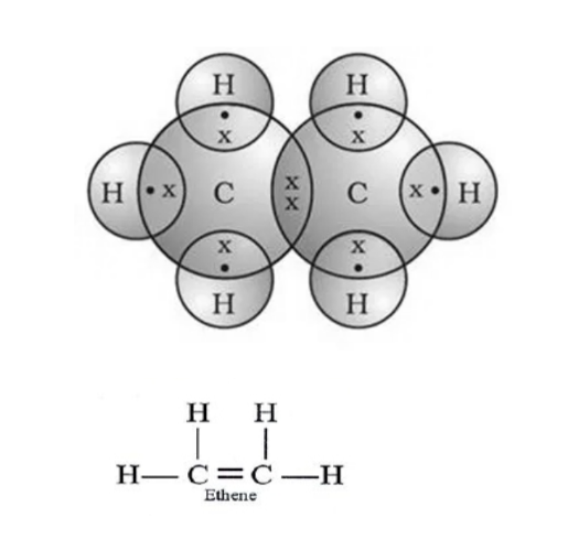 Give the electron dot structure and structural formula of ethene and ethyne. | Snapsolve