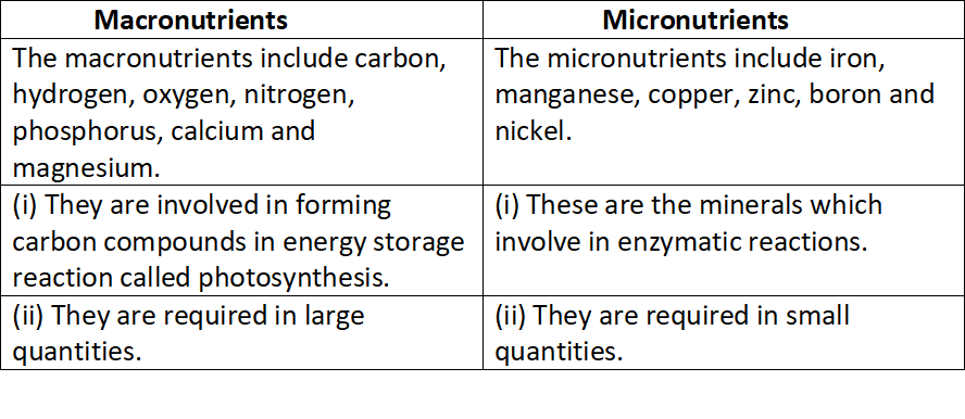 Question Long Answer Question A Distinguish Between Macronutrients And Micronutrients On The Basis Of I Their Functions Ii Amount Required By Plants B Classify The Following Elements As Macro Or Micronutrients In Plants I Nitrogen Ii Zinc Iii