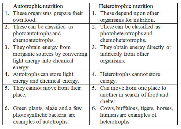 What Is The Autotrophic Mode Of Nutrition In Plants