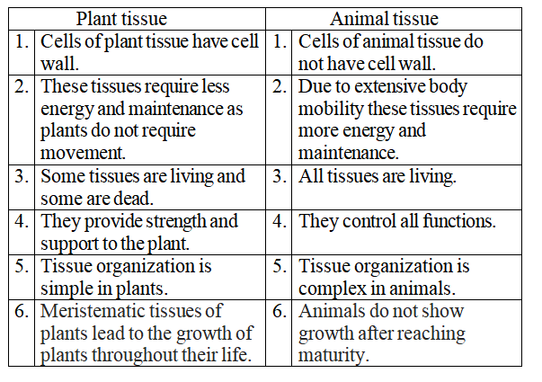 37+ Write difference between animal tissue and plant tissue information