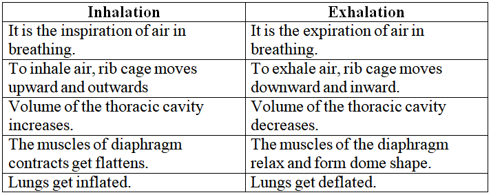 Distinguish between:Inhalation and Exhalation | Snapsolve