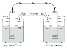 Solved: Draw labelled diagram of Daniell cell. [algebra]