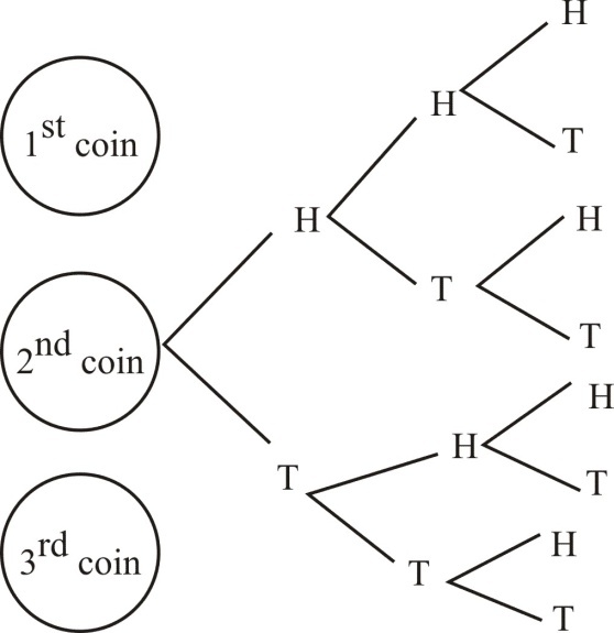 Write The Sample Space For Tossing Three Coins Using Tree Diagram Snapsolve