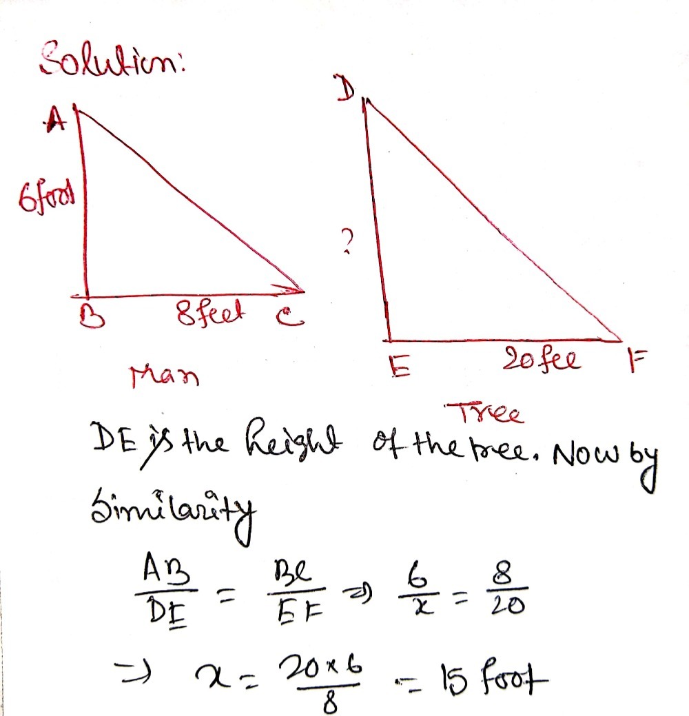 Step 20: Write your answer in a complete sente - Gauthmath