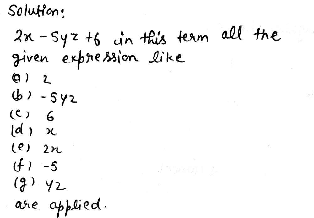 What Are The Terms Of The Following Expressions S Gauthmath
