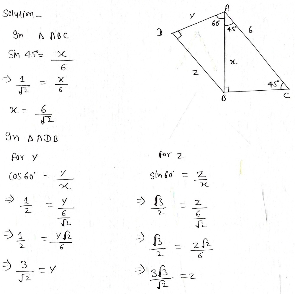 Find The Length X Y And Z Y Gauthmath