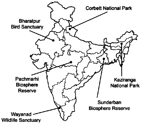 Pachmarhi In India Map The Pachmarhi Biosphere Reserve Is Located In Madhya Pradesh. List Out The  Names Of Five Differentprotected Areas In India And Mark Them In The Map  Given Below.pachmarhibiospherereserve | Snapsolve