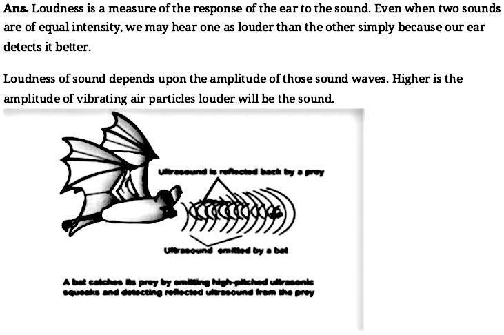 Answer for ध्वनि का जोर क्या है? यह किन कारकों पर निर्भर करता है?