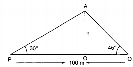 Question There Is A Small Island In The Middle Of A 100 M Wide River And A Tall Tree Stands On The Island P And Q Are Points Directly Opposite To Each